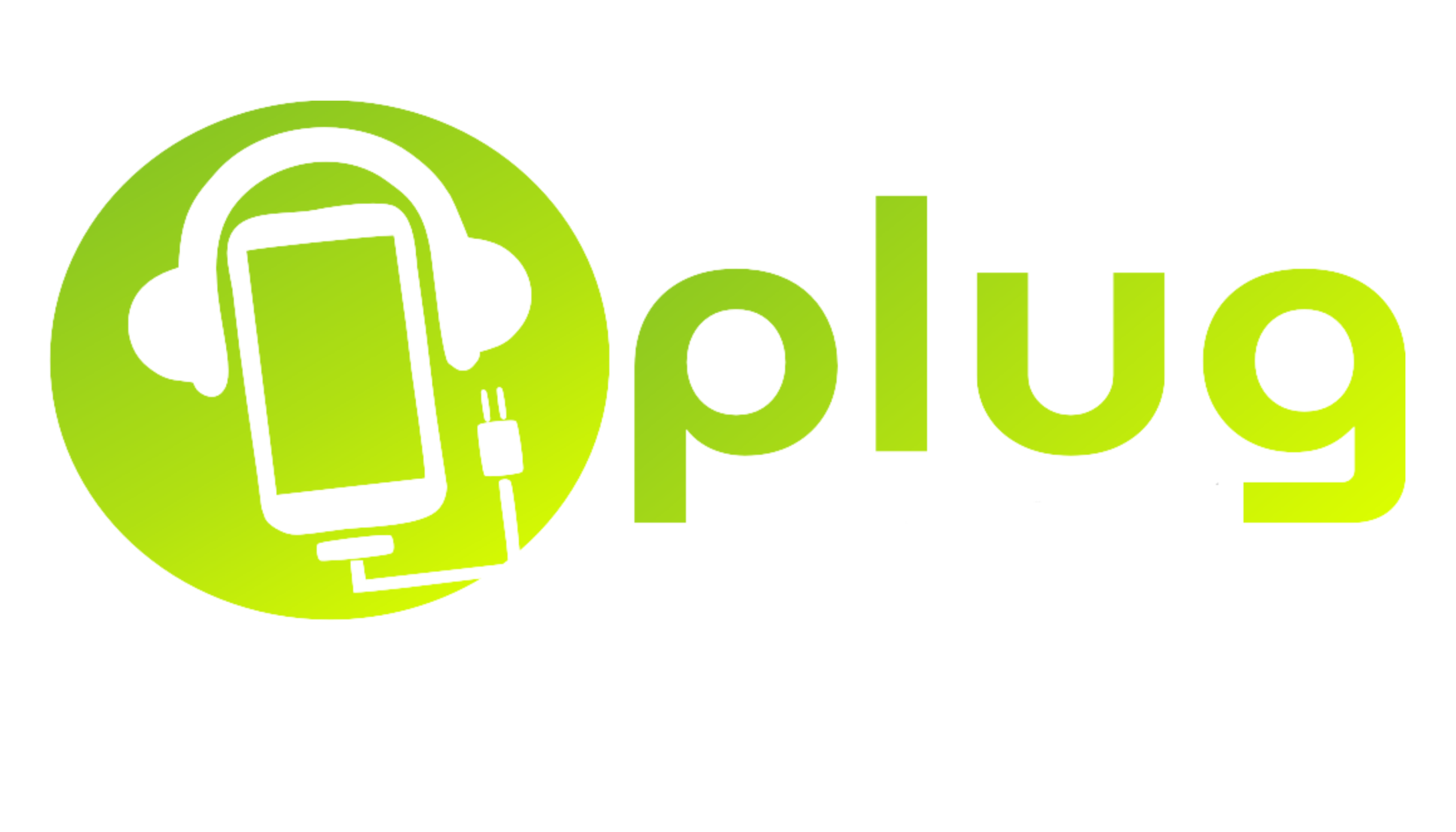 Plug